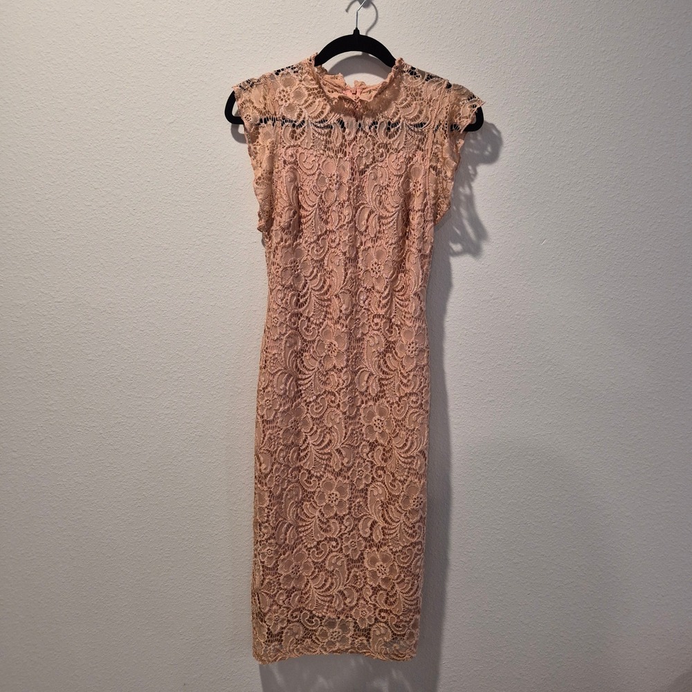 Blush Pink Lace Bodycon Dress‎ Sweetheart Valentines Fairy Whimsigoth Feminine 4